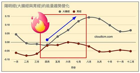 牙齒經絡|季節性的牙齒痛，可觀察陽明經(胃經、大腸經)能量！